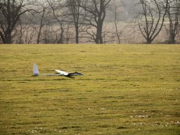fliegen0903 65
